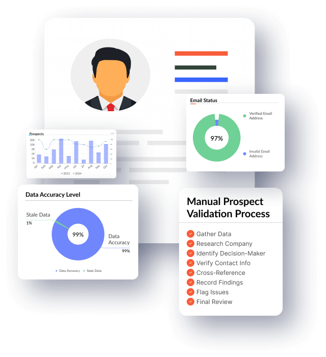 Manual Data Validation Process